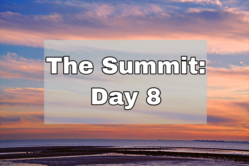 Rich orange and pink sunset over a beach type landscape. Text says "The Summit: Day 8"